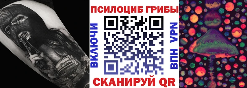 Купить  Краснообск  Псилоцибиновые грибы MAGIC MUSHROOMS 